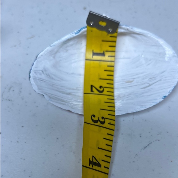 Hand Painted Colorful Seashell Decor - Picture 4 of 4